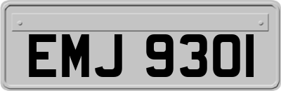 EMJ9301