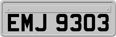 EMJ9303