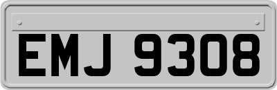 EMJ9308
