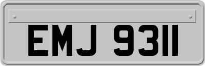 EMJ9311