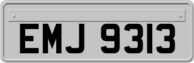 EMJ9313