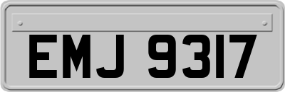 EMJ9317