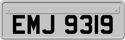EMJ9319