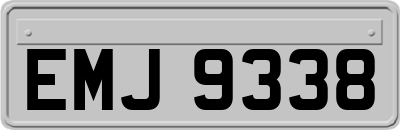EMJ9338