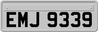 EMJ9339