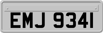 EMJ9341