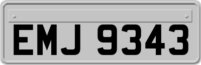 EMJ9343