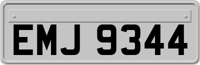 EMJ9344