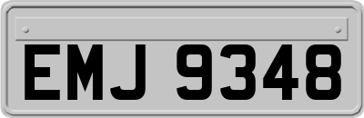 EMJ9348
