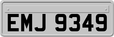 EMJ9349