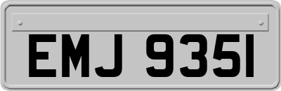 EMJ9351