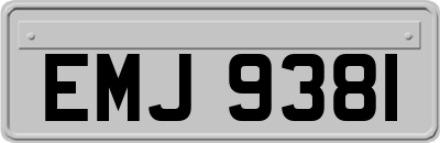 EMJ9381