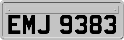 EMJ9383