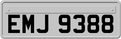 EMJ9388