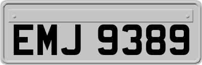 EMJ9389