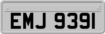 EMJ9391