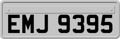 EMJ9395