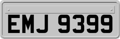 EMJ9399