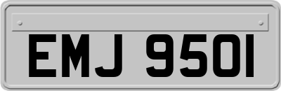 EMJ9501