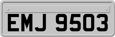 EMJ9503