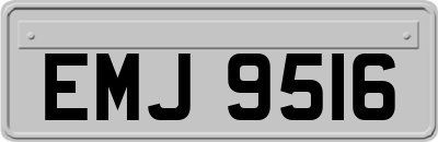 EMJ9516