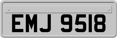 EMJ9518