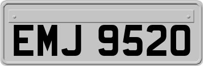 EMJ9520
