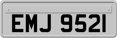 EMJ9521
