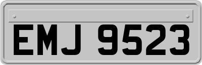EMJ9523