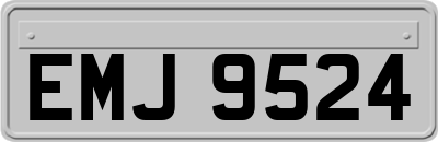 EMJ9524