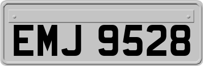 EMJ9528