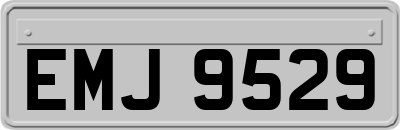 EMJ9529