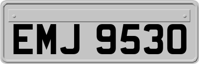 EMJ9530