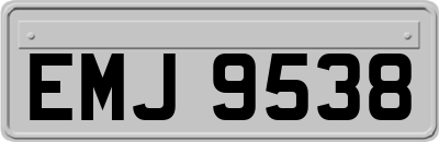 EMJ9538
