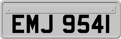 EMJ9541
