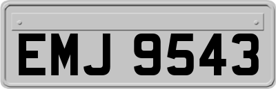 EMJ9543