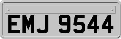 EMJ9544
