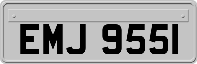 EMJ9551