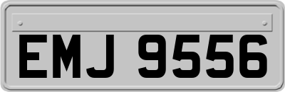 EMJ9556