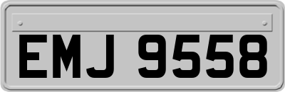 EMJ9558