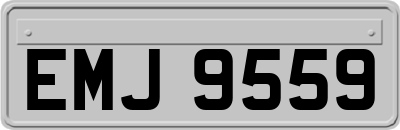 EMJ9559