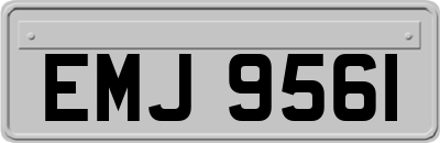 EMJ9561