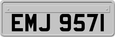 EMJ9571