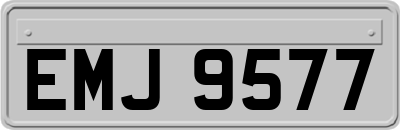 EMJ9577
