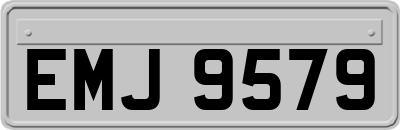 EMJ9579