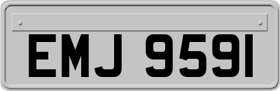 EMJ9591