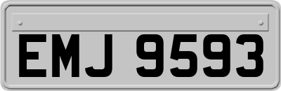 EMJ9593