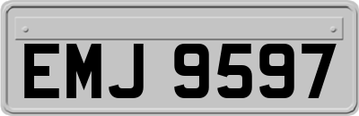 EMJ9597