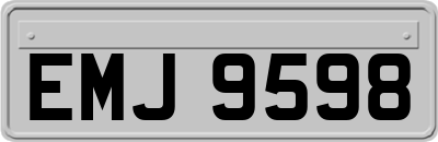 EMJ9598