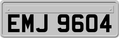 EMJ9604